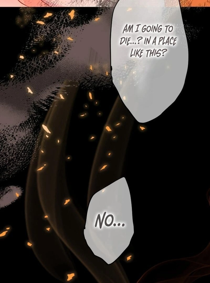 67008503 800 1080 113794