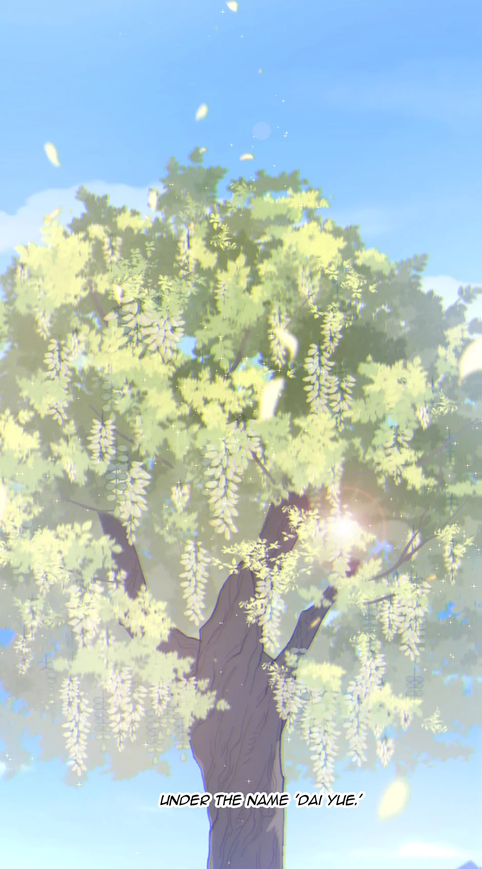 74663273 940 1695 107274